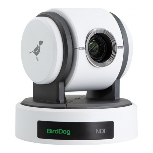 BirdDog Eyes P100 1080P full NDI PTZ Camera with SDI (White) - While stocks last